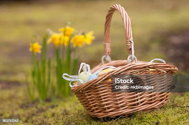 Foto de Ovo De Páscoa De Fora Com Cesta De Flores Em Fundo De Abróteas e mais fotos de stock de Beleza natural - Natureza