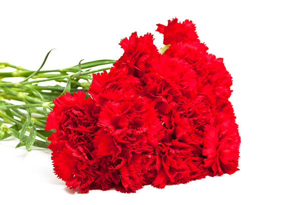 istock bouquet of red carnations 183751705