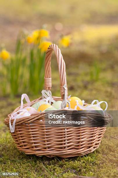 Photo libre de droit de Panier De Pâques À Lextérieur Devant Jonquille Fleurs banque d'images et plus d'images libres de droit de Devant