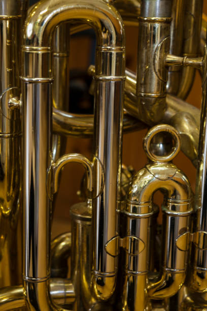 istock Close-up of a tuba 1837534343