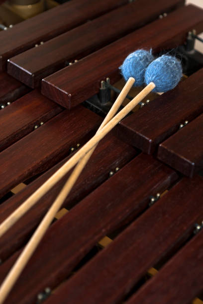 istock Mallets lying on the keys of a marimba 1837534348