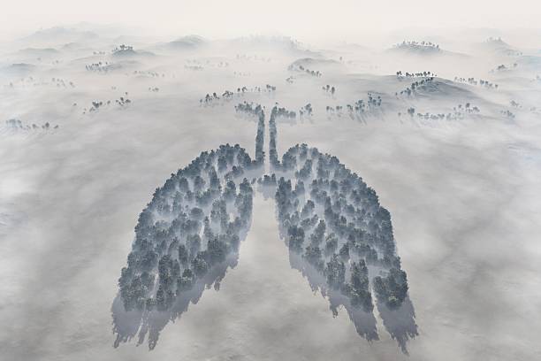 istock Lungs Of The Planet 183753861