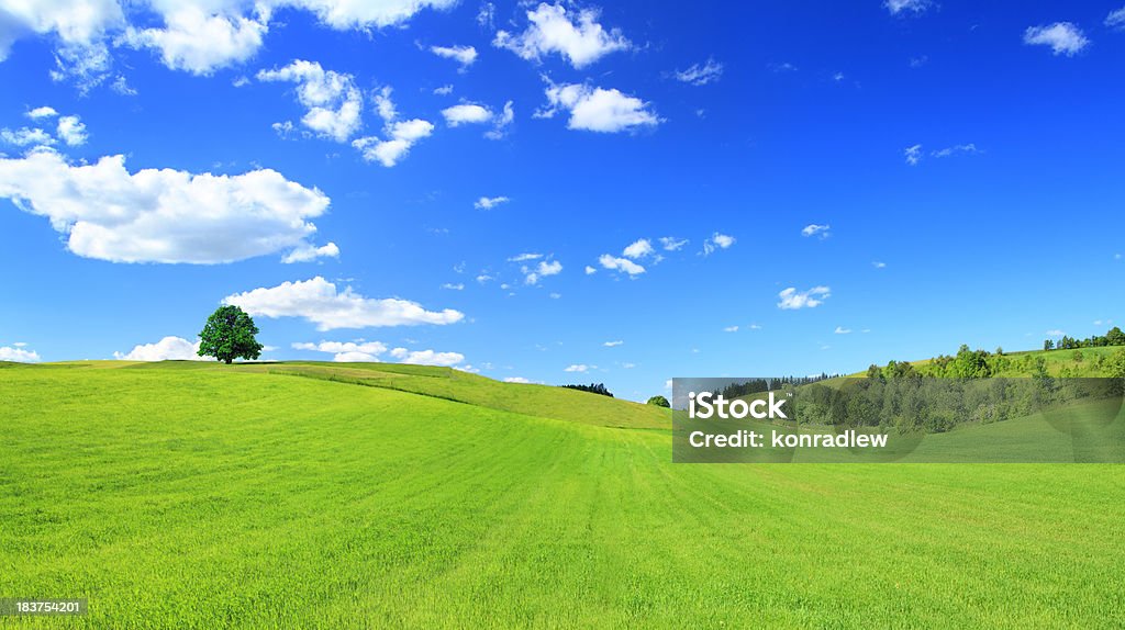 Grünen Wiese und Baum-sonnigen Landschaft Panorama - Lizenzfrei Grün Stock-Foto