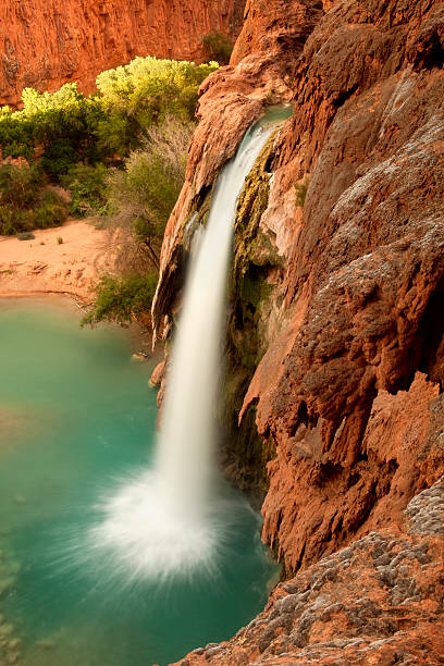 Havasu Waterfalls Havasu Falls in Arizona at Grand Canyon National Park. havasu falls stock pictures, royalty-free photos & images