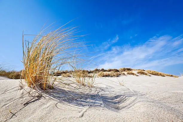 Photo of Beach Feelings - Ellenbogen ( Sylt )