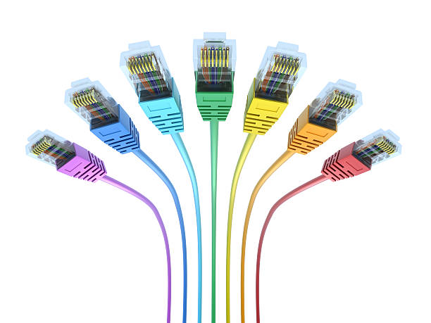 multicolored cables de red aislado con trazado de recorte - high speed technology cable computer network fotografías e imágenes de stock