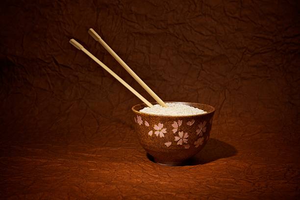 Brown Bowl of Rice