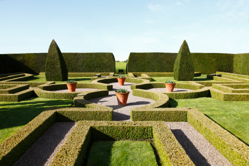Wide angle shot of an immaculately kept topiary garden in low sun.