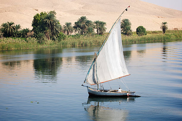 египетский фелюга парусный спорт на нил - felucca boat стоковые фото и изображения