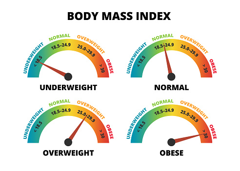 Vector infographic set of body mass index – BMI calculator isolated on white background. Underweight, normal, overweight and obese. Indicator gauge scale. The body mass divided by the square of the body height.