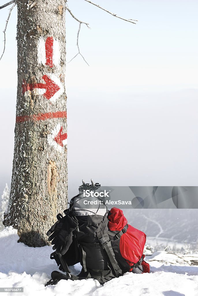 Rucksack unter Baum im winter-Szene - Lizenzfrei Weg Stock-Foto
