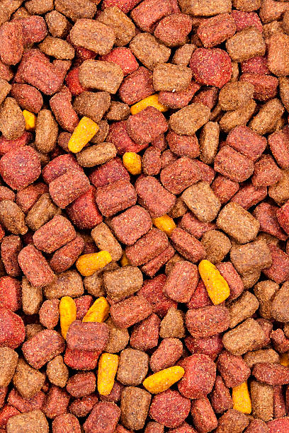 istock Dog Food 183755933