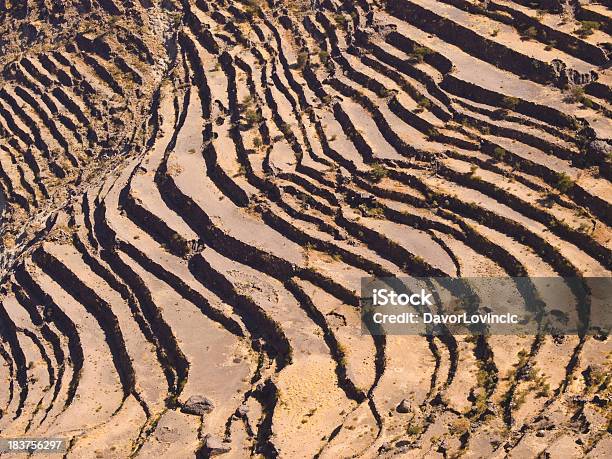 Yemen Campos Terrazas En Invierno Foto de stock y más banco de imágenes de Agricultura - Agricultura, Aire libre, Ajardinado