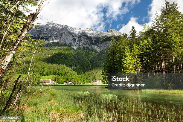 Lago Alpino E Montagne - Fotografie stock e altre immagini di Fiore - Fiore, Paesaggi, Albero