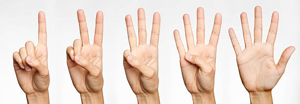 1, 2, 3, 4, 5-counting 손가락으로 (xxxl - human thumb pointing human finger human hand 뉴스 사진 이미지