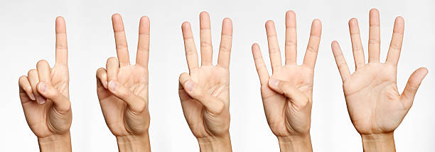 One, Two, Three, Four, Five - Counting with Fingers (XXXL) Very natural groomed hand counting with Fingers to five. Nikon D3X. Converted from RAW. finger stock pictures, royalty-free photos & images