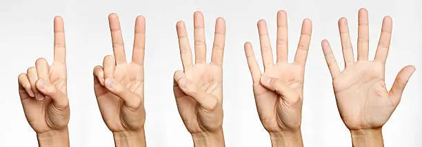 Photo of One, Two, Three, Four, Five - Counting with Fingers (XXXL)