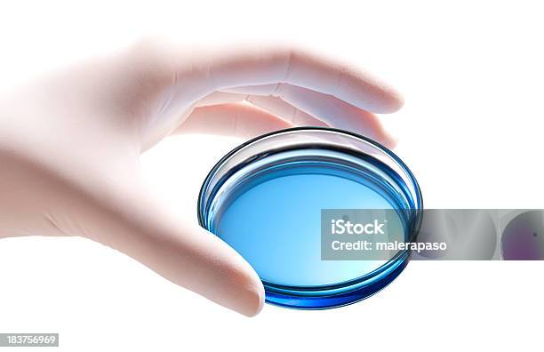 Investigação Científica Laboratório - Fotografias de stock e mais imagens de Disco de Petri - Disco de Petri, Laboratório, Proveta