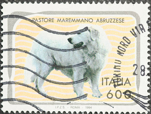 istock Italian Dog Postage Stamp 183757278