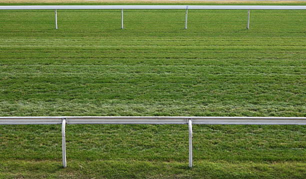 istock Horse Racing Track 183757315