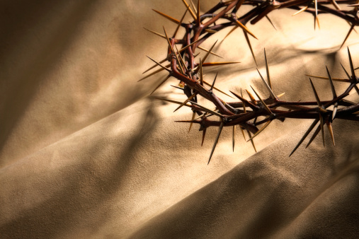 A crown of thorns on a gold suede background.
