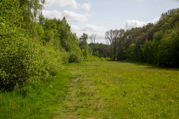istock Restored landscape around Dutch river Ruiten Aa 1837575301