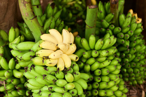 Yellow and green bananas for sale.  Sri Lanka.