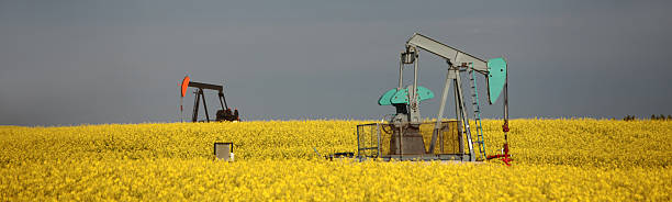 두 pumpjacks in 카놀라 - oil pump oil alberta canola 뉴스 사진 이미지