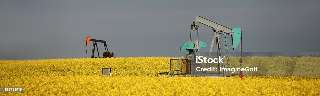 Dois Pumpjacks de Canola - Royalty-free Agricultura Foto de stock