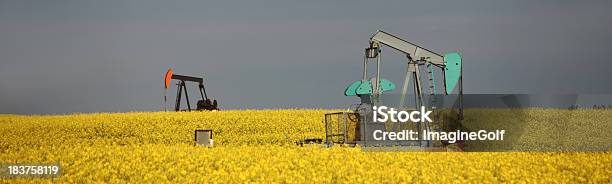 Dois Pumpjacks De Canola - Fotografias de stock e mais imagens de Agricultura - Agricultura, Alberta, Bomba Petrolífera