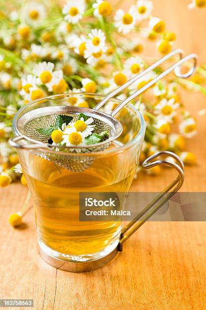 Chamomile Tea Infusion Stock Photo - Download Image Now - Chamomile, Chamomile Plant, Tea - Hot Drink