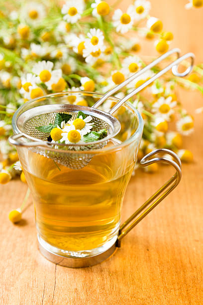 infusão de chá de camomila - chamomile plant - fotografias e filmes do acervo