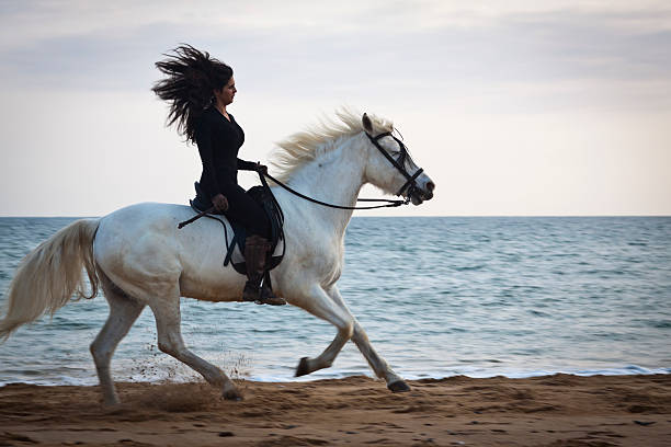 istock Horsewoman mediterranea 183758765