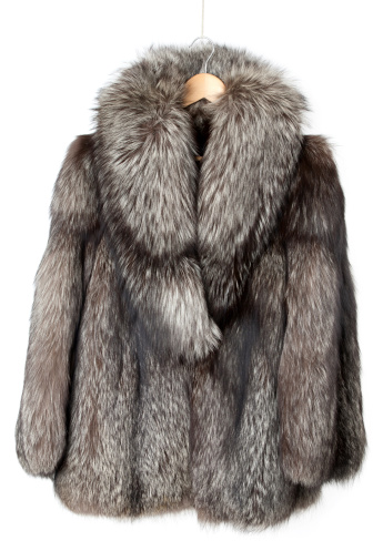 jacket with foxSimilar images: