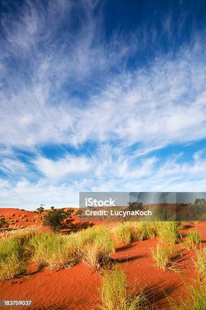 Namibialandschaft Stockfoto und mehr Bilder von Abenteuer - Abenteuer, Afrika, Ausgedörrt