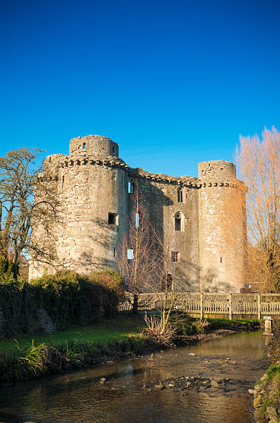 nunney 城、frome 、サマセット,英国 - castle famous place low angle view england ストックフォトと画像