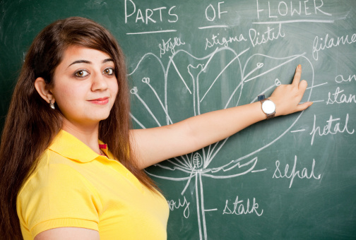 Indian Female Teacher showing Parts of Flowers Chalk Drawing on Greenboard to the Class