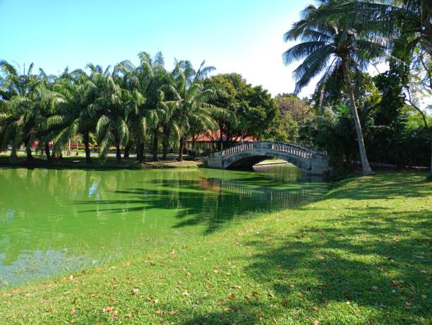 istock Bridge and lake beauty park Thailand 1837599480