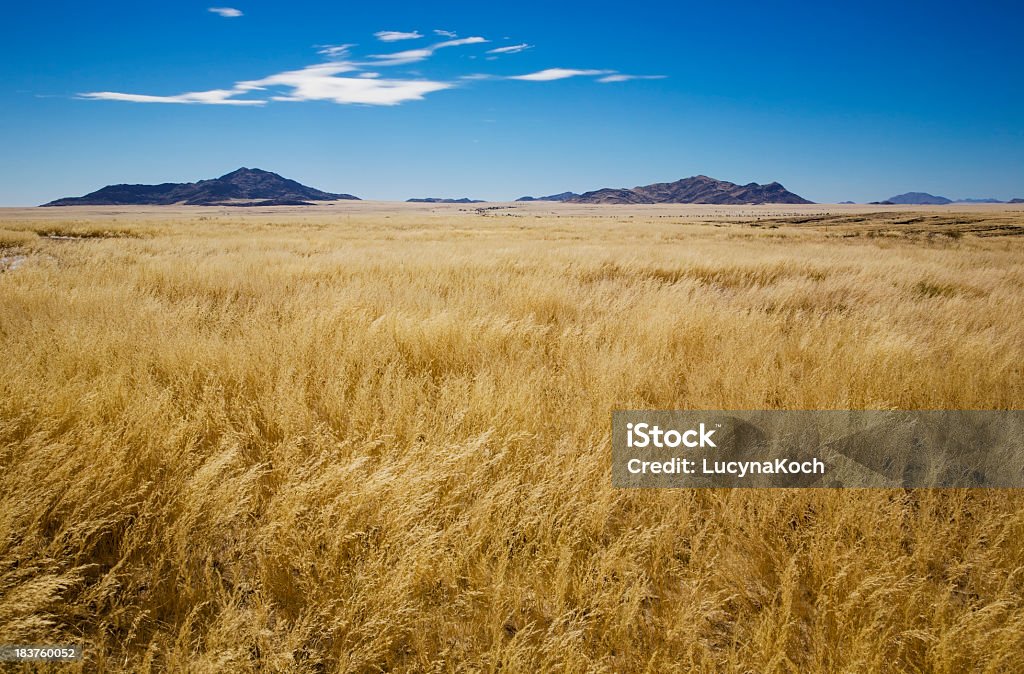 Namibia-Landschaft - Lizenzfrei Abgeschiedenheit Stock-Foto