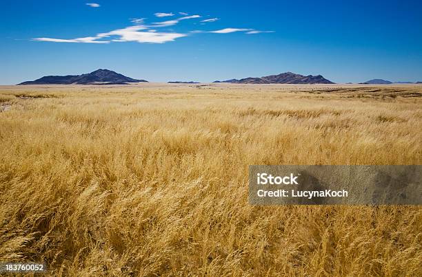 Namibialandschaft Stockfoto und mehr Bilder von Abgeschiedenheit - Abgeschiedenheit, Afrika, Ausgedörrt