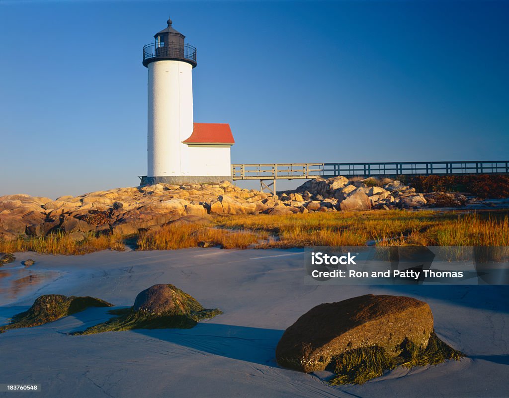 Low Tide in the Morning (P) Cape Annisquam Lighthouse glows in the morning light on the New England coast in Massachusetts. The low tide reveals the sand and seaweed on the rocks. Protection Stock Photo