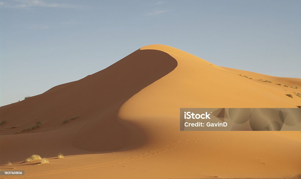 Curvacious dune di sabbia nel deserto del Sahara e Africa - Foto stock royalty-free di Africa