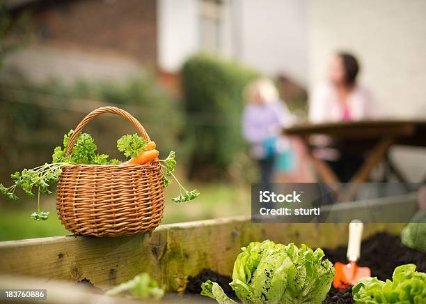 Foto de Patch De Legumes e mais fotos de stock de 12-17 meses - 12-17 meses, Alface, Alimentação Saudável