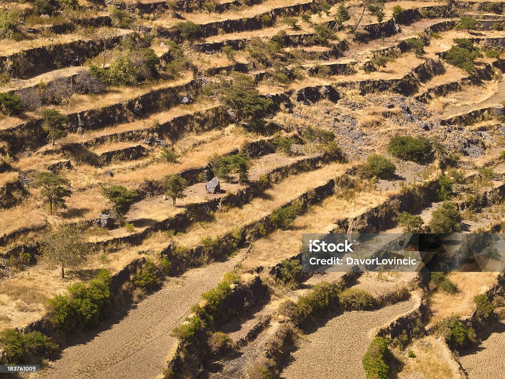 Terraces - Royalty-free Café - Colheita Foto de stock