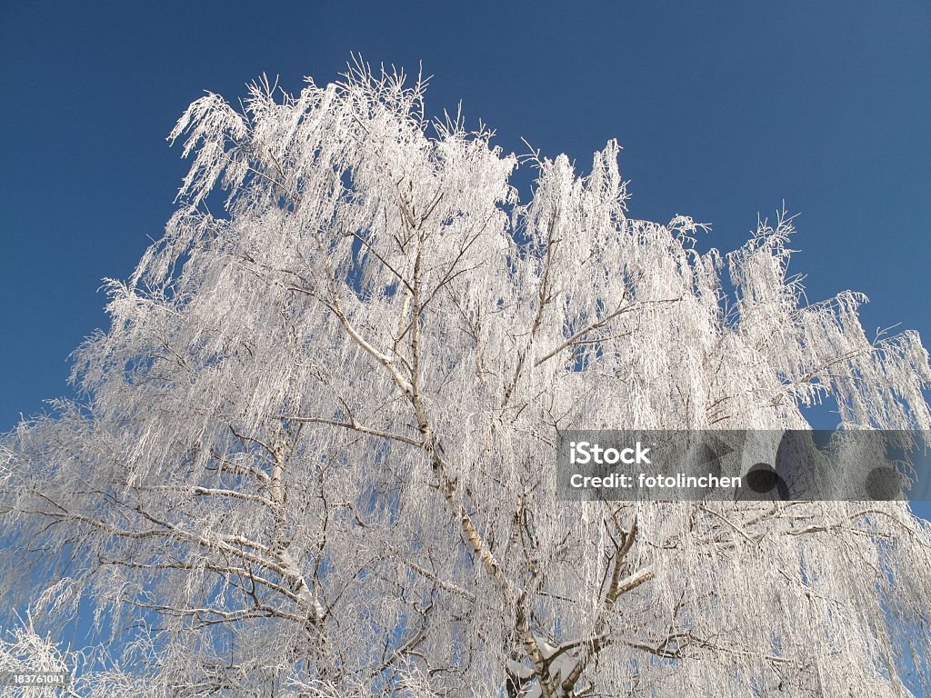 Winter - - Lizenzfrei Eingefroren Stock-Foto