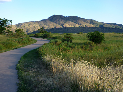 With Mount Morrison and Red Rocks State Park in the distance, a paved bike path wanders through Bear Creek Lake State Park in Colorado. A variety of grasses and plants stand along the trail.