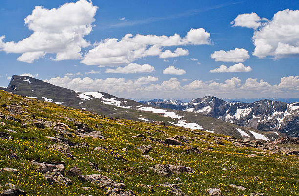 Alpine Meadow, Rocky Peaks and Puffy Clouds In the Colorado Rockies the typical mid-summer weather pattern is clear skies in the morning with gathering clouds by noon and afternoon thunderstorms. This picture of gathering clouds over the Never Summer Range was taken from Hallett Peak in Rocky Mountain National Park near Estes Park, Colorado, USA. jeff goulden rocky mountain national park stock pictures, royalty-free photos & images