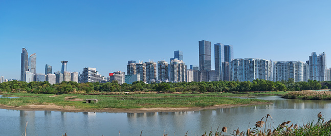 Shenzhen Bay's buildings and skyline