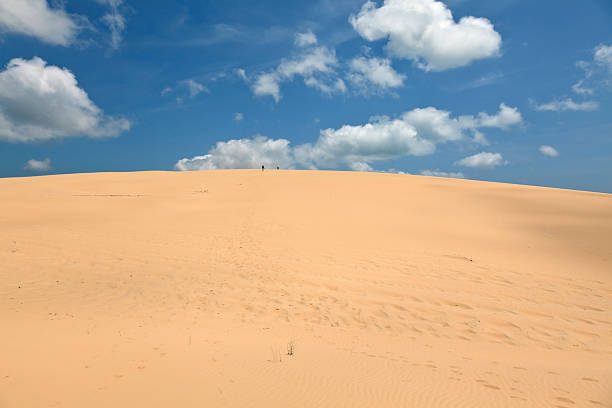 istock Sandunes in Mozambique. 183762332