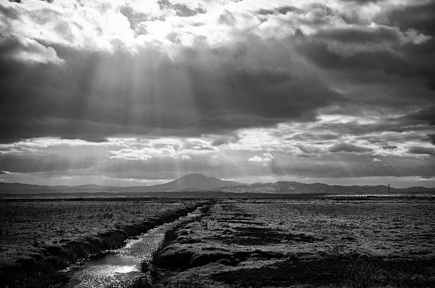 ディアブロ山カリフォルニアの嵐 - mt diablo state park ストックフォトと画像